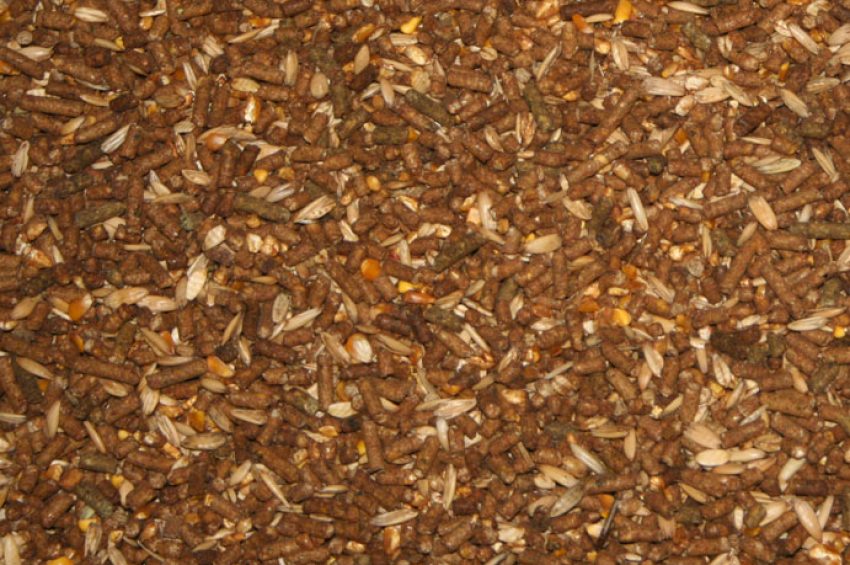 Horse Feed with Soyoil